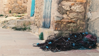 5种征兆要发财梦见蛇(做梦梦到发财了是什么征兆)_重复