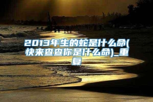 2013年生的蛇是什么命(快来查查你是什么命)_重复