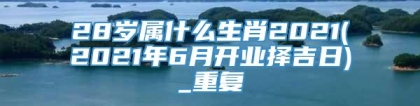 28岁属什么生肖2021(2021年6月开业择吉日)_重复