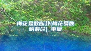 梅花易数断卦(梅花易数测寿命)_重复