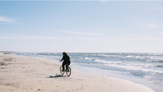 86年属虎女的最佳婚配(1983年的猪婚姻状况)