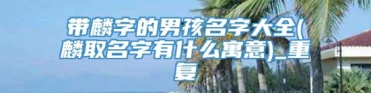 带麟字的男孩名字大全(麟取名字有什么寓意)_重复