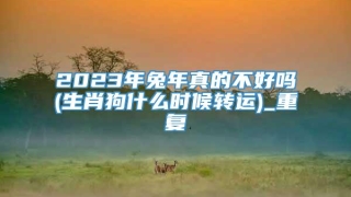 2023年兔年真的不好吗(生肖狗什么时候转运)_重复