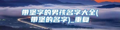带堡字的男孩名字大全(带堡的名字)_重复