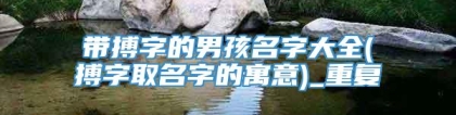 带搏字的男孩名字大全(搏字取名字的寓意)_重复