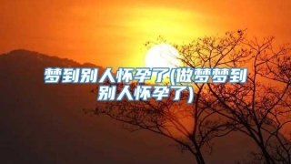 梦到别人怀孕了(做梦梦到别人怀孕了)