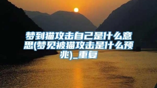 梦到猫攻击自己是什么意思(梦见被猫攻击是什么预兆)_重复