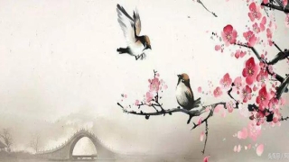 梅花易数里动爻如何确定(梅花易数“体用互变”背后隐藏的小小秘密)