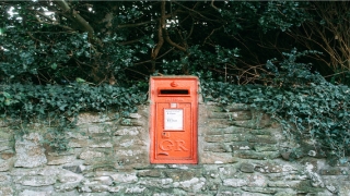 测试姓名打分 免费测试打分测试(新生儿美丽有魅力女孩名字精选)