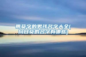 带葵字的男孩名字大全(向日葵的名字有哪些)