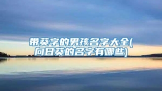 带葵字的男孩名字大全(向日葵的名字有哪些)