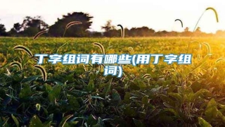 丁字组词有哪些(用丁字组词)