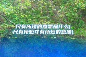 尺有所短的意思是什么(尺有所短寸有所短的意思)