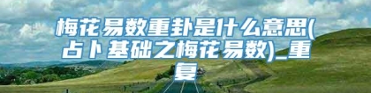 梅花易数重卦是什么意思(占卜基础之梅花易数)_重复
