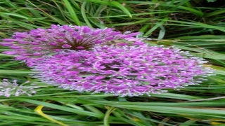 八字怎么找财星(八字不带财星)