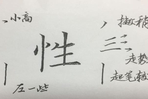 八字草书写法(硬笔楷书八字)