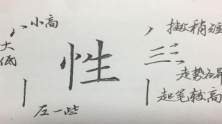 八字草书写法(硬笔楷书八字)