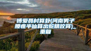博爱聂村算卦(河南男子腰疼半仙算出蛇精咬肾)_重复