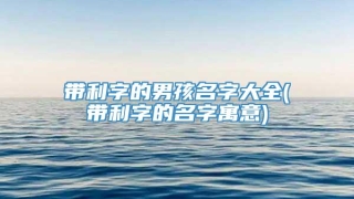 带利字的男孩名字大全(带利字的名字寓意)