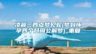 凌晨三四点梦见蛇(梦到怀孕四个月周公解梦)_重复