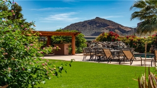 白猪胎梦准吗已生见证(孕妇梦见白猪一定生女儿)