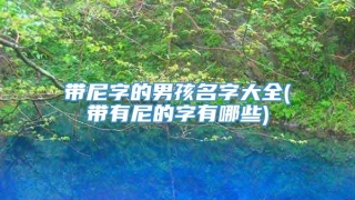 带尼字的男孩名字大全(带有尼的字有哪些)