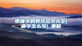 带廉字的男孩名字大全(廉字怎么写)_重复