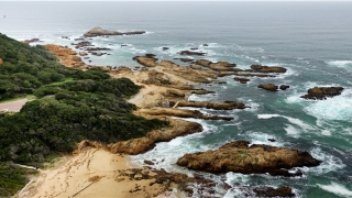 测名字打分测名字(新生儿宝宝取名字宝典)