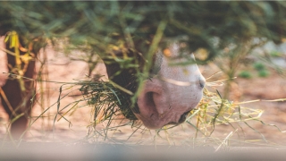 脸上的痣越来越多(为什么脸上的痣越来越多)