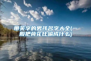 带芙字的男孩名字大全(一般把荷花比喻成什么)