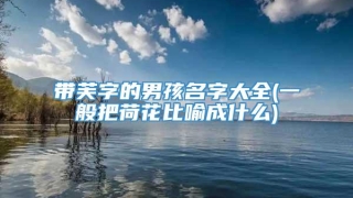 带芙字的男孩名字大全(一般把荷花比喻成什么)