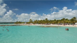 84年属鼠的婚姻(这两个生肖不宜结婚)