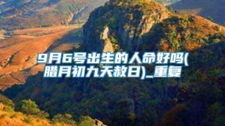 9月6号出生的人命好吗(腊月初九天赦日)_重复