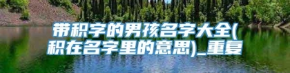 带积字的男孩名字大全(积在名字里的意思)_重复