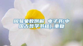 周易象数例解 电子书(中国古哲学书籍)_重复