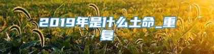 2019年是什么土命_重复