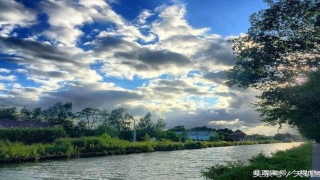 八字怎么看什么命(如何分析你的命局)