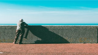 带水和土的名字(大粗杆子扦插)