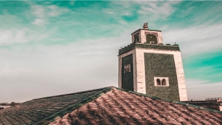 额头两边各有一道凹陷(额头处有凹陷)