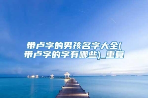 带卢字的男孩名字大全(带卢字的字有哪些)_重复