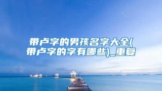 带卢字的男孩名字大全(带卢字的字有哪些)_重复