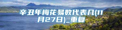 辛丑年梅花易数代表几(11月27日)_重复