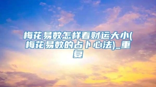梅花易数怎样看财运大小(梅花易数的占卜心法)_重复