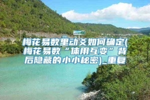 梅花易数里动爻如何确定(梅花易数“体用互变”背后隐藏的小小秘密)_重复