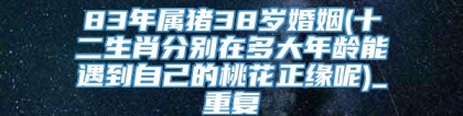 83年属猪38岁婚姻(十二生肖分别在多大年龄能遇到自己的桃花正缘呢)_重复
