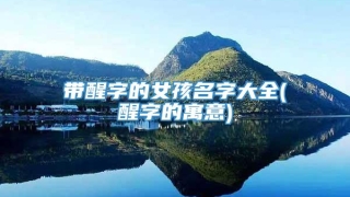 带醒字的女孩名字大全(醒字的寓意)