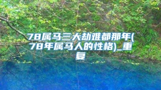 78属马三大劫难都那年(78年属马人的性格)_重复