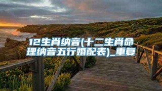 12生肖纳音(十二生肖命理纳音五行婚配表)_重复