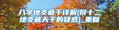 八字地支藏干详解(辩十二地支藏天干的疑惑)_重复