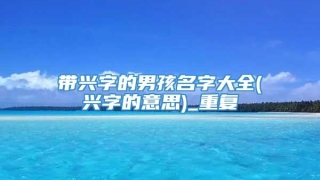 带兴字的男孩名字大全(兴字的意思)_重复